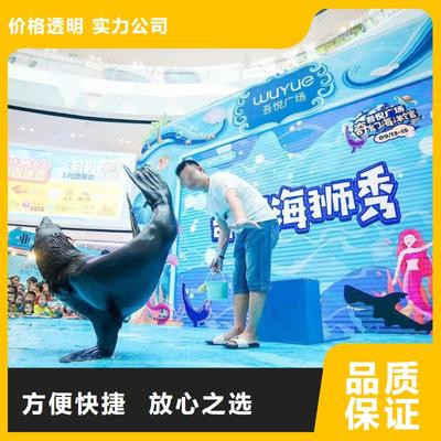 南安市分公司 專業出租表演鸚鵡，打造難忘動物展覽體驗